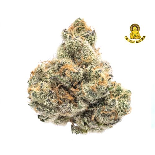 PLATINUM JACK HERRERA