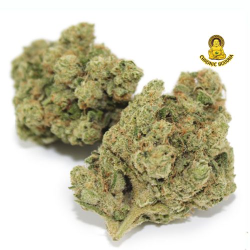 Mr. Cubans Miami Haze