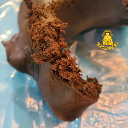 Ketama Moroccan HASHISH