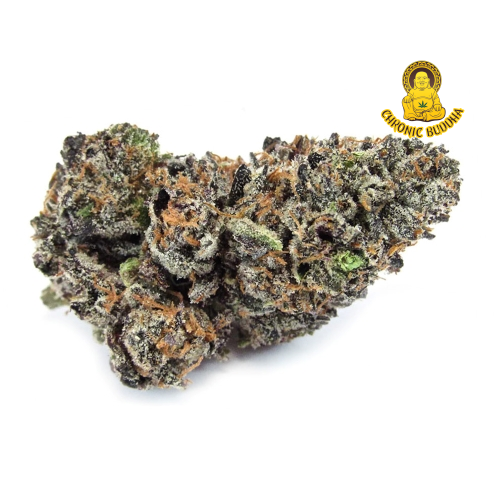 CG First Class Gas 4G