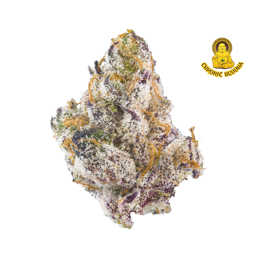 MG SHANGRI LA X FRENCH LAUNDRY