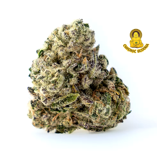 TenCo Black Zushi 4G