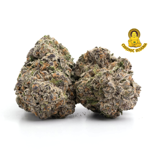 GUZMAN'S BACIO GELATO